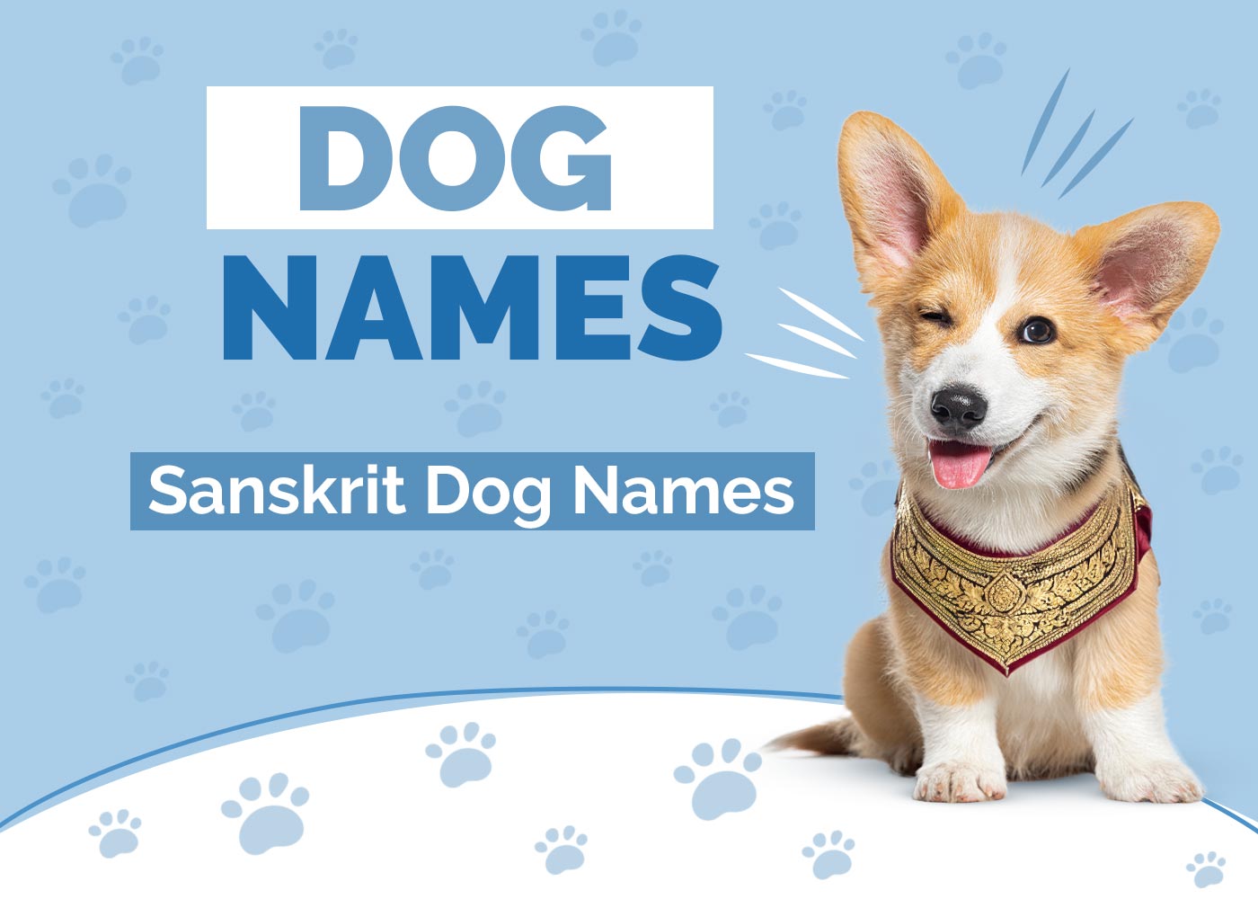 Sanskrit Dog Names With Meanings