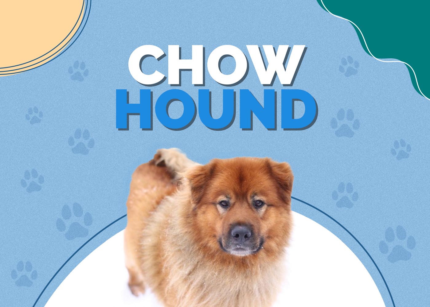 Chow Hound