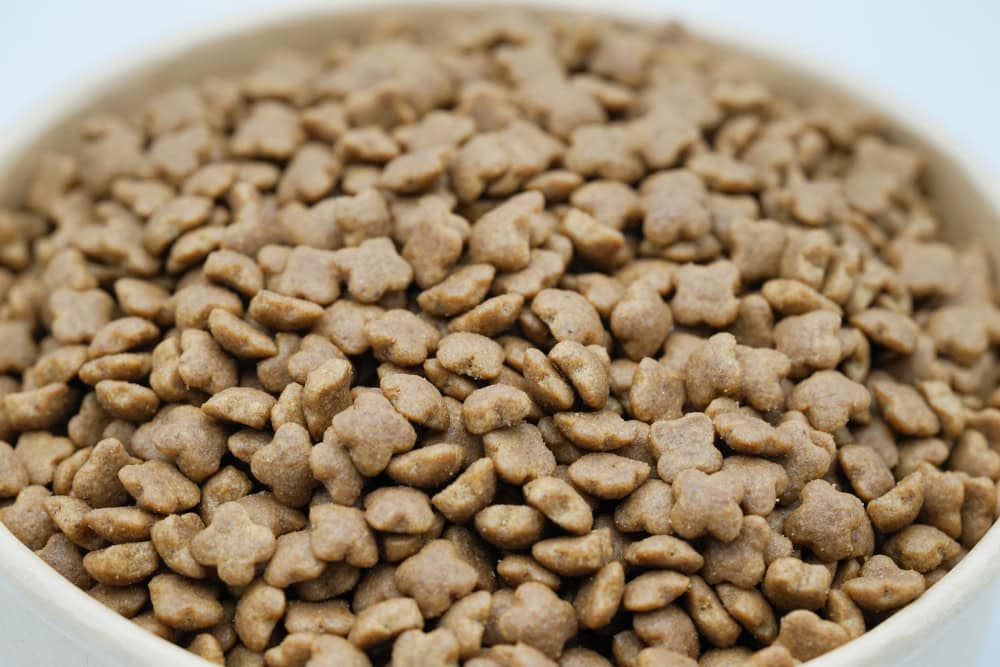 Close up of dry dog and cat food in a white bowl
