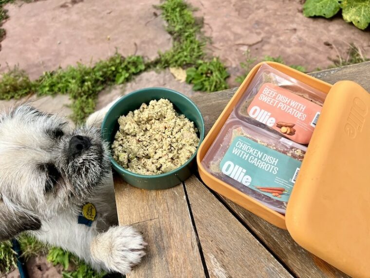 9 Best Natural Dog Foods - 2026 Reviews & Top Picks | Hepper Pet Resources