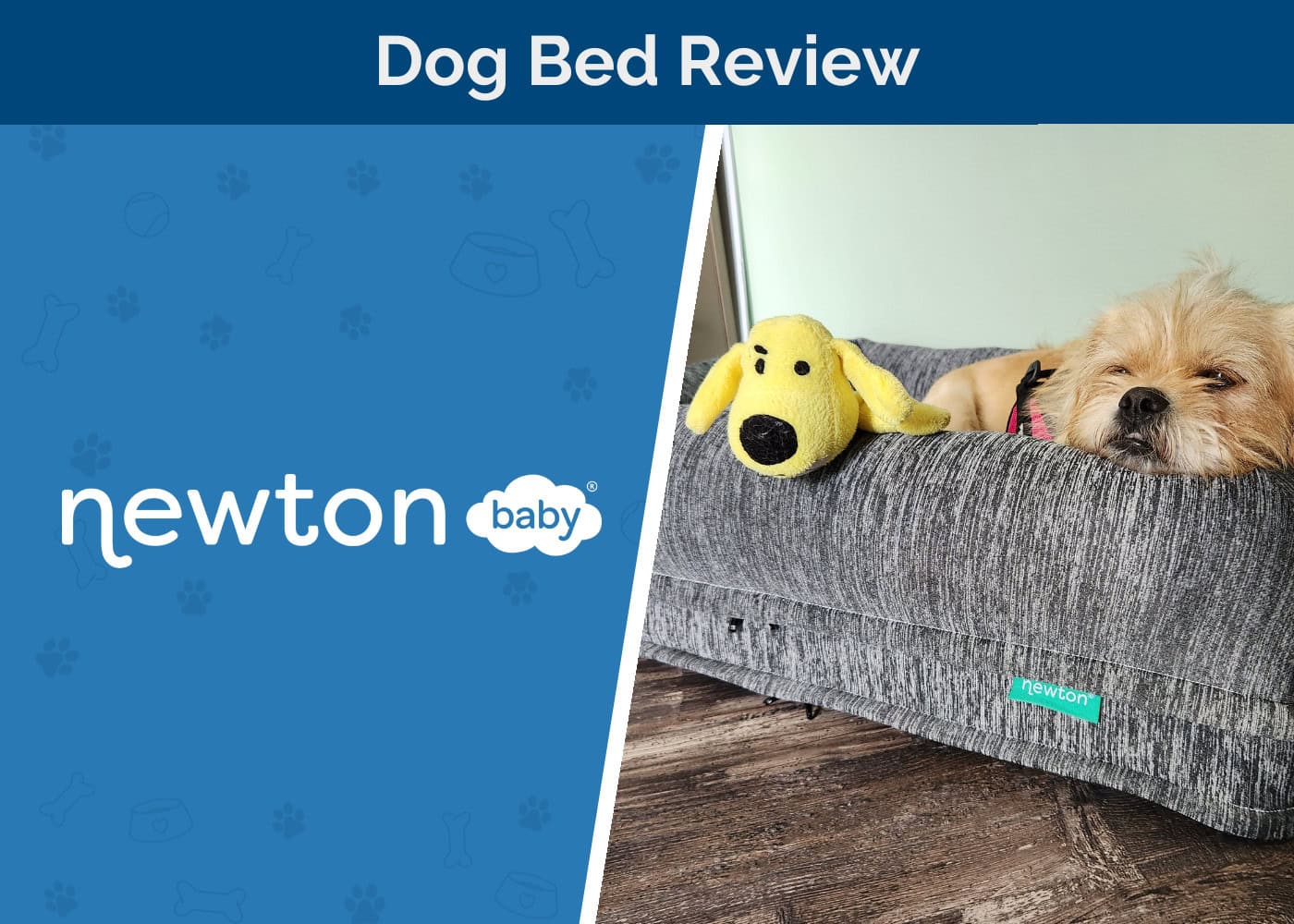 Newton Baby Dog Bed
