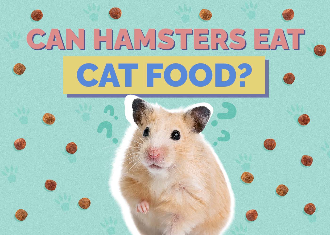 Hepper_Can Hamster Eat_Cat Food