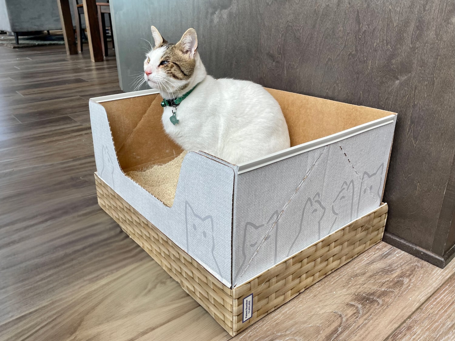 Kitty Poo Club - makoa using the litter box