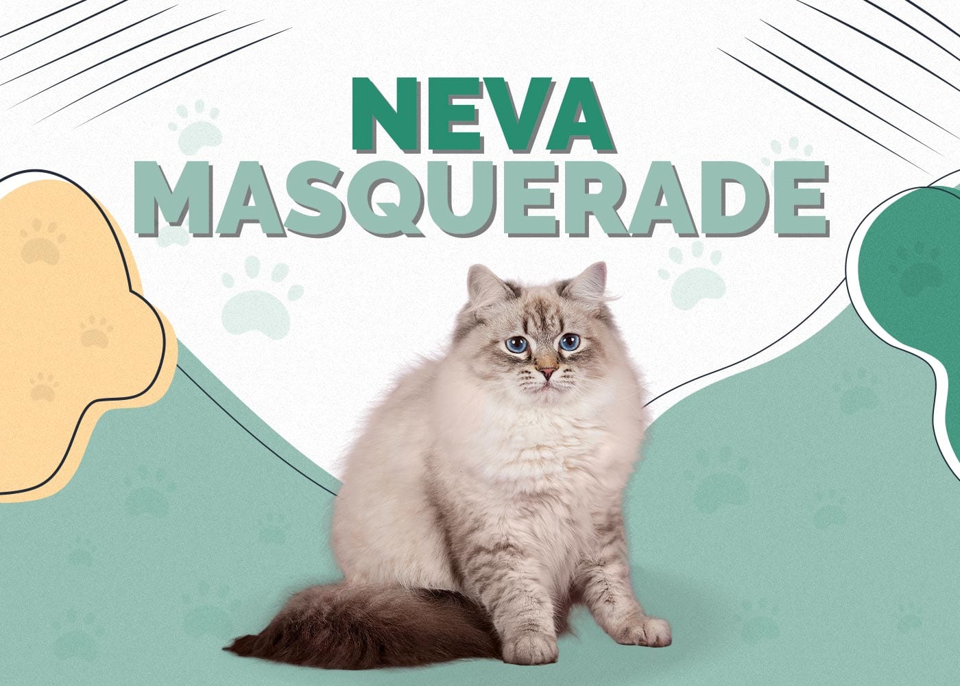 Neva Masquerade Cat