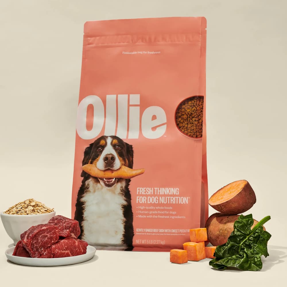 Ollie Baked Beef with Sweet Potatoes Recipe