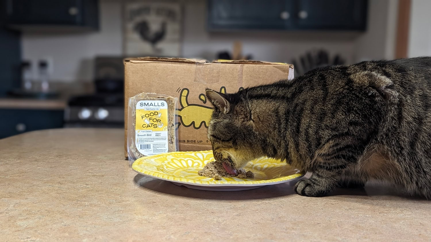 Smalls Cat Food - cat eating smalls food