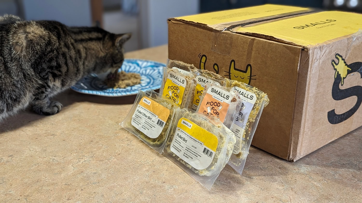 Smalls Cat Food - opened products and cat in the background