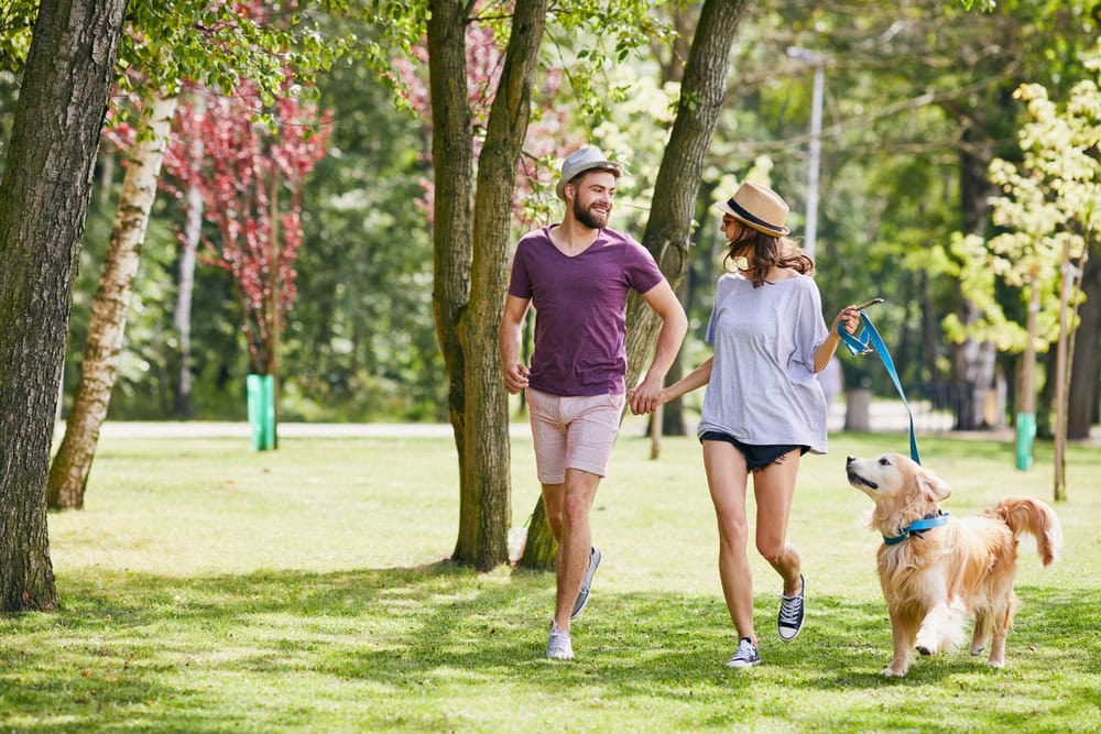 couple-walking-in-the-park-with-their-dog