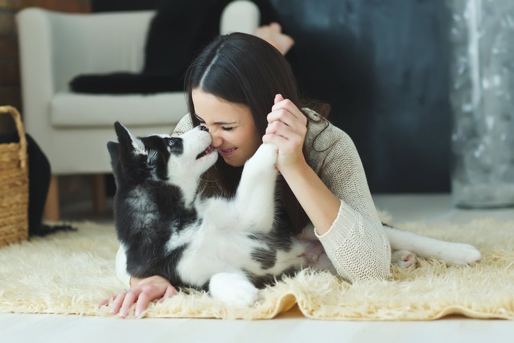 young woman playing with her dog at home