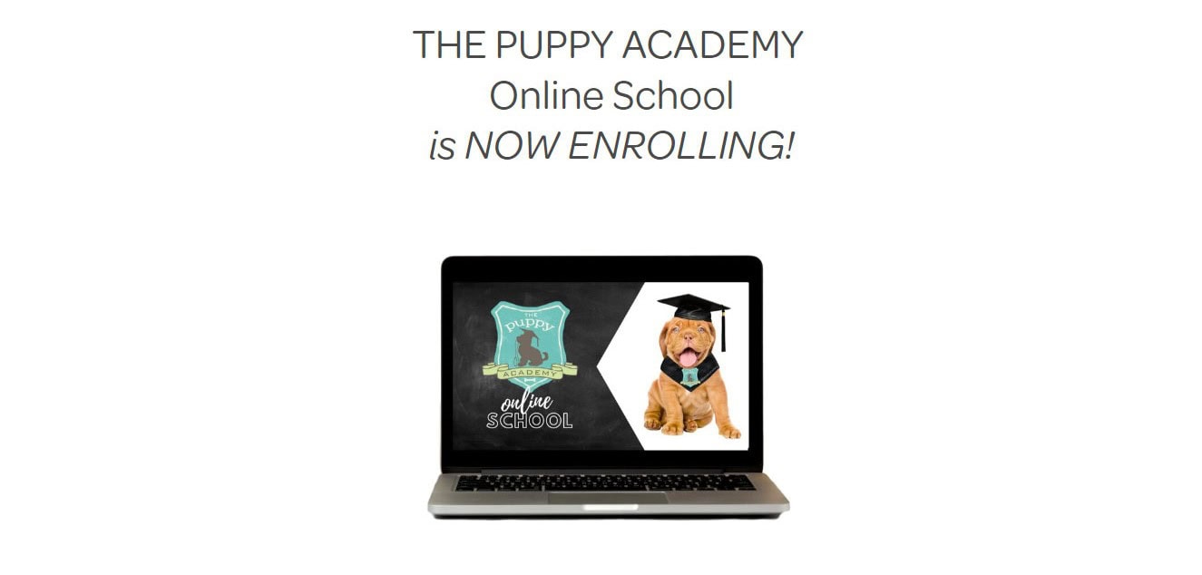 The Puppy Academy 7