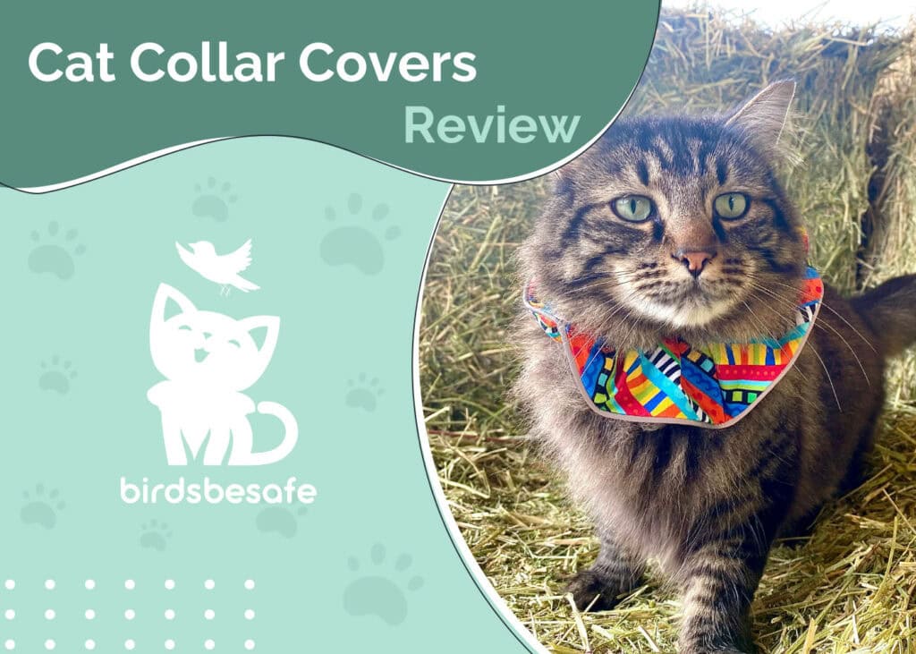 HEP_CAT_Birdsbesafe Cat Collar Cover