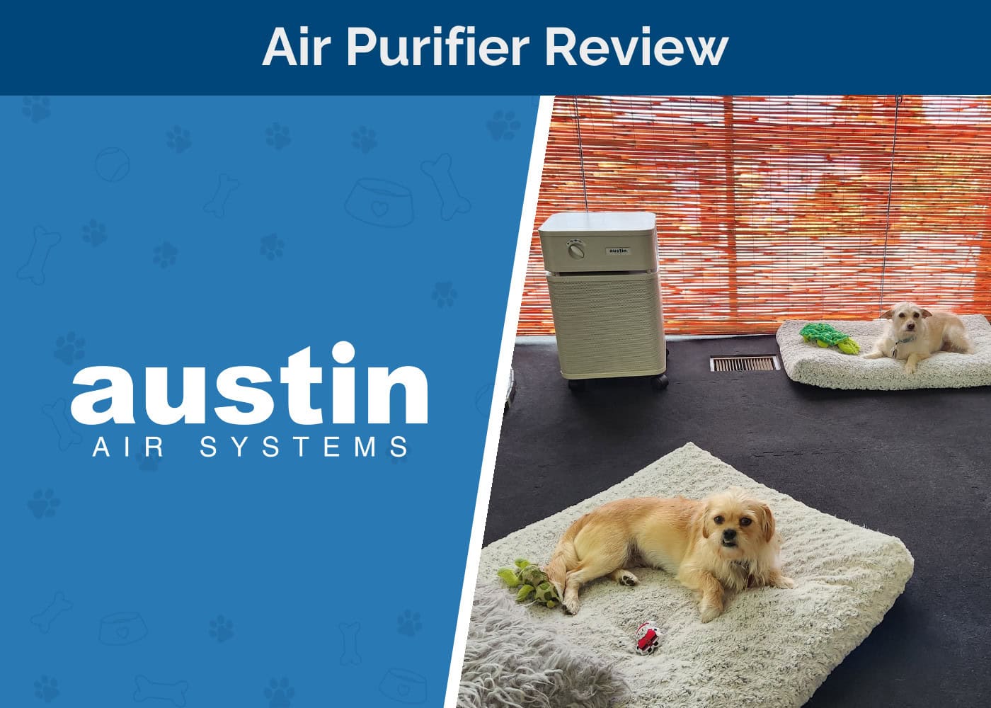 HEP_DOG_SAPR_Austin Air Purifier