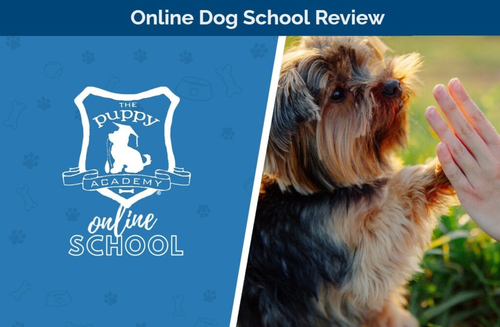 HEP_SAPR_The Puppy Acadamy