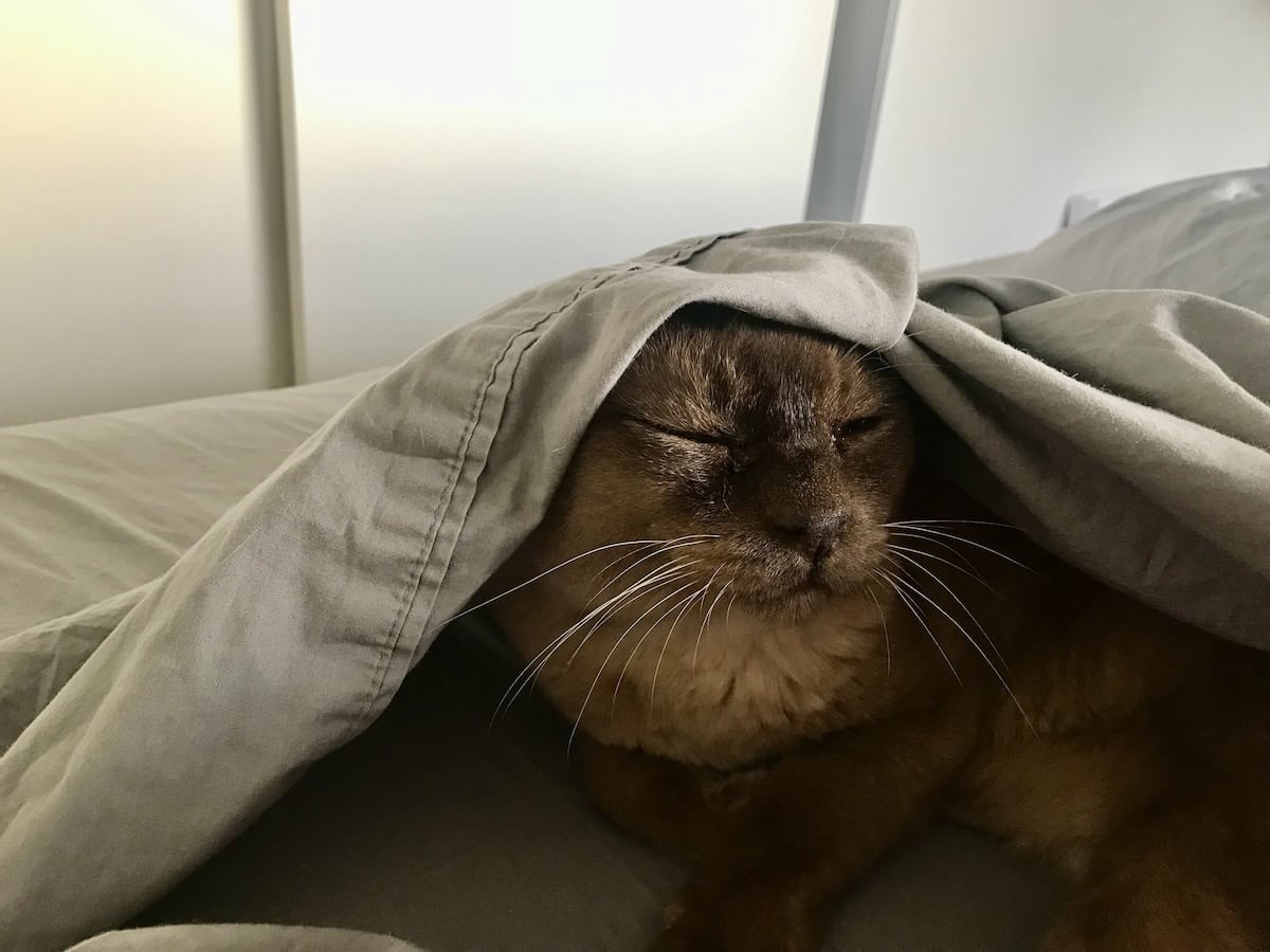 Is there still a world out there?