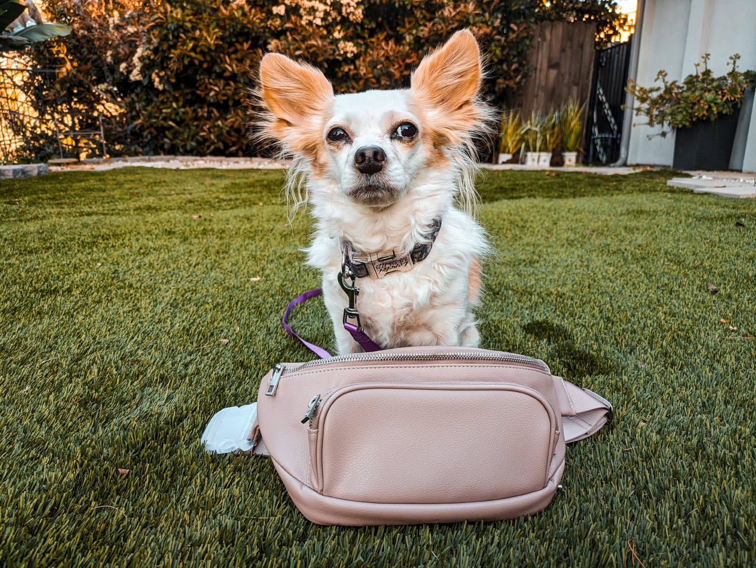 Kibou Dog Walking Bag - lorelei sitting behind the product