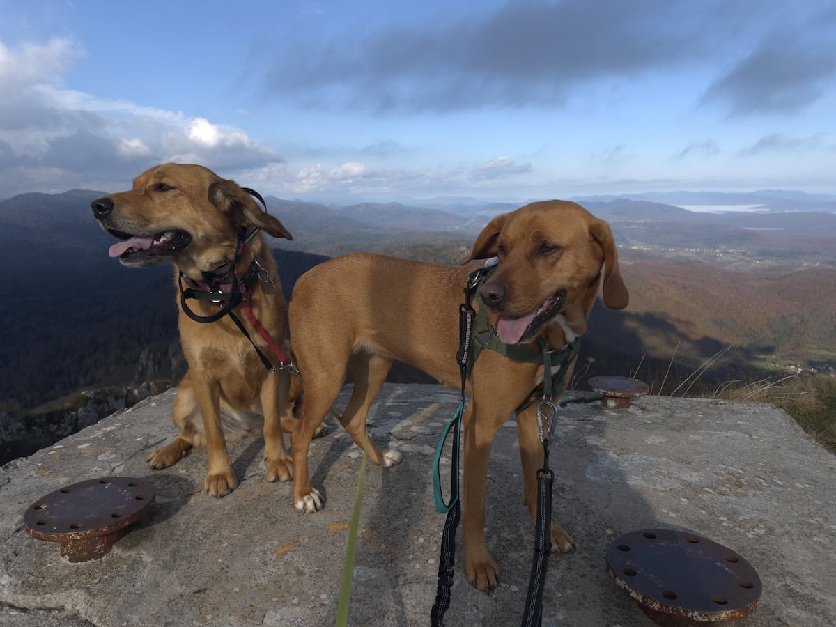 Lava and Hela (left to right)