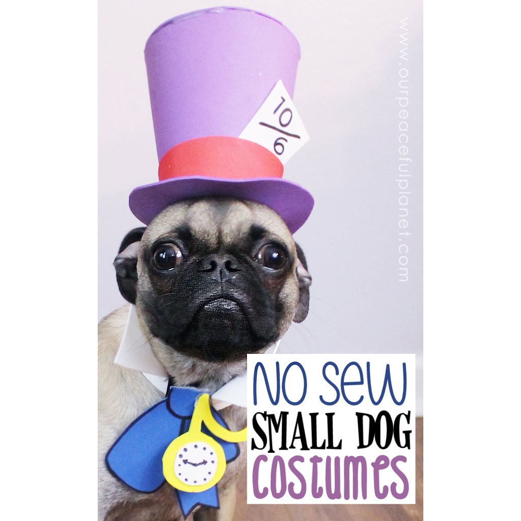 Mad Hatter Dog Halloween Costume