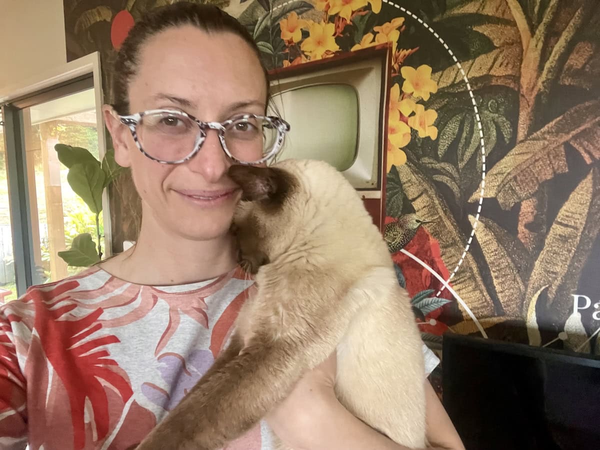 Someone is a little bit camera shy.