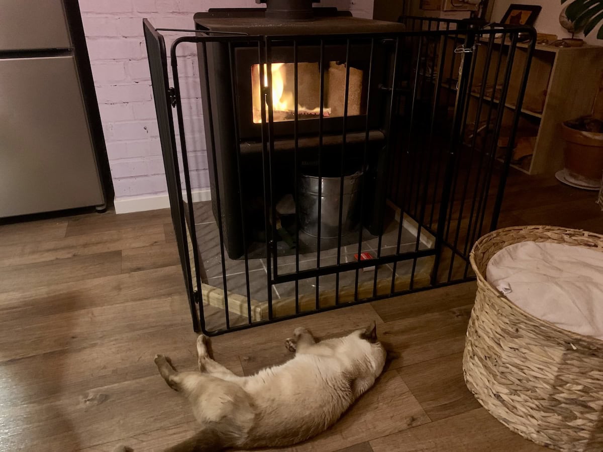 Sometimes he gets too hot to be on the bed, but don't think he will actually move away from the fire. No thank you!