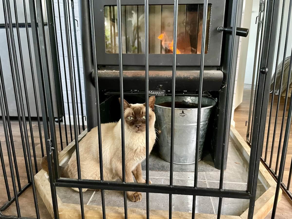 Watch me Mom, I'll get even closer if you dare me.