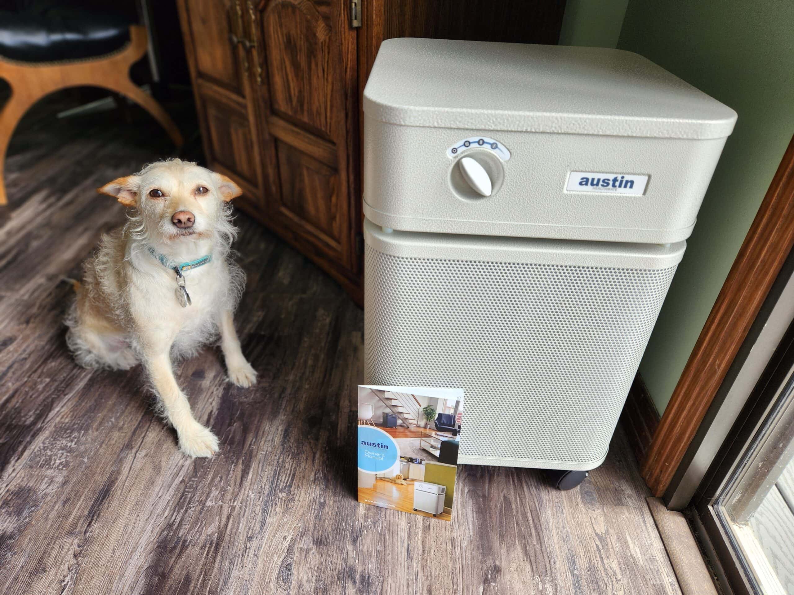 HEP_DOG_SAPR_Austin Air Purifier