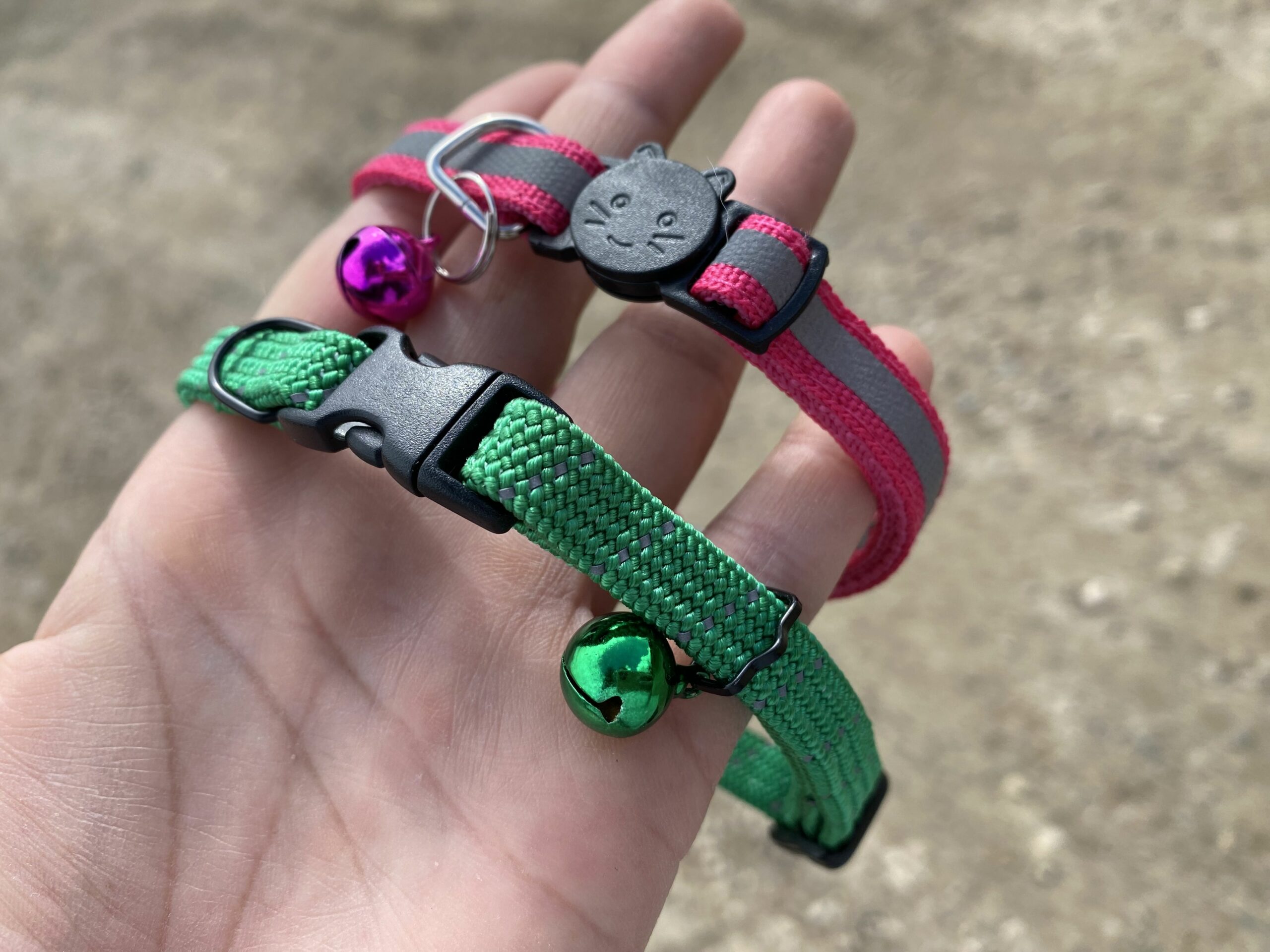 Birdsbesafe Cat Collars on man;s hand