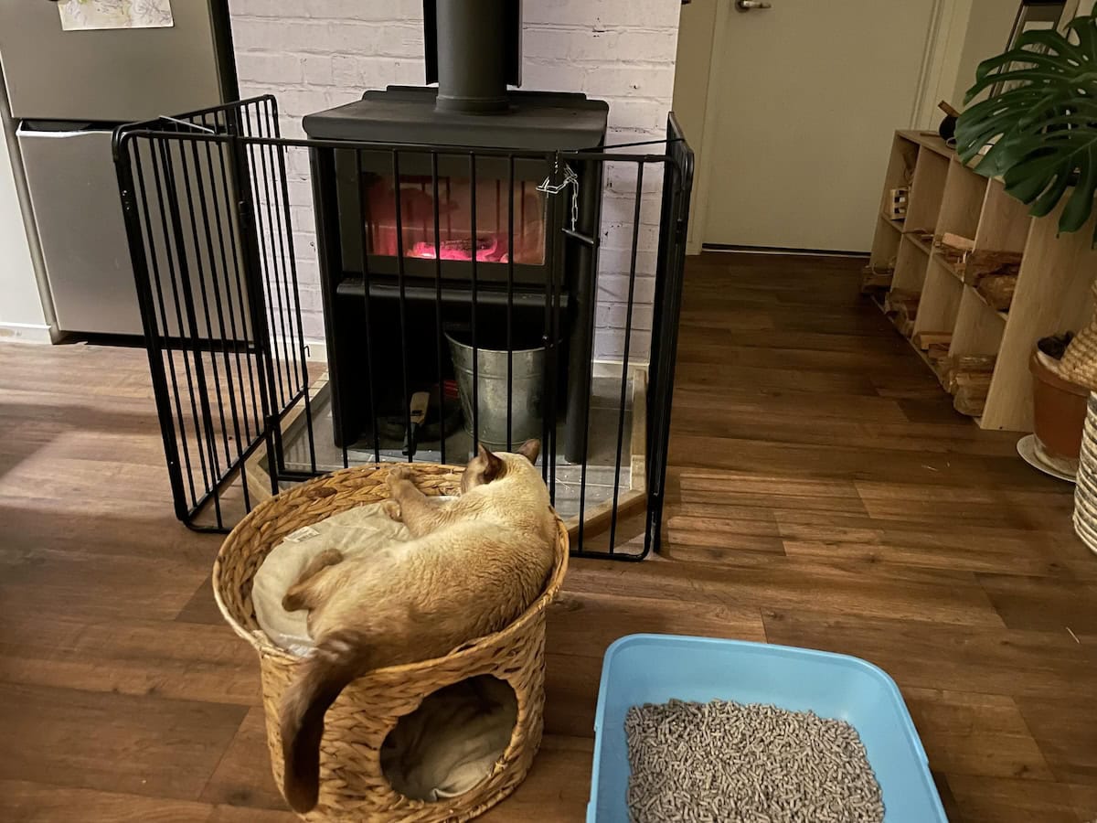 Baby Cat's nightly setup