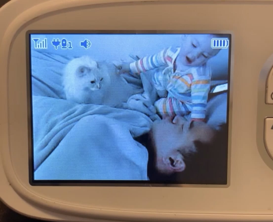 Blue on the baby monitor