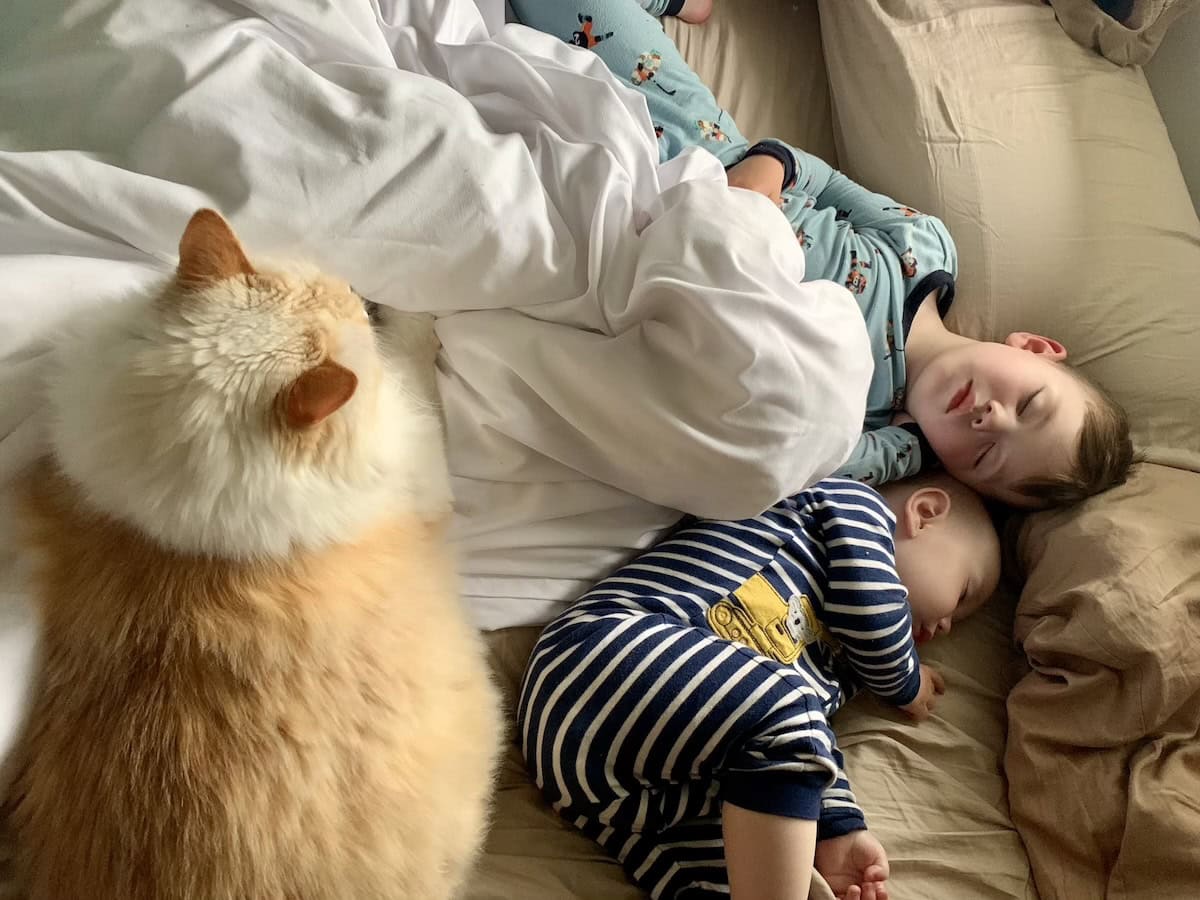 Blue watching over her sleeping brothers