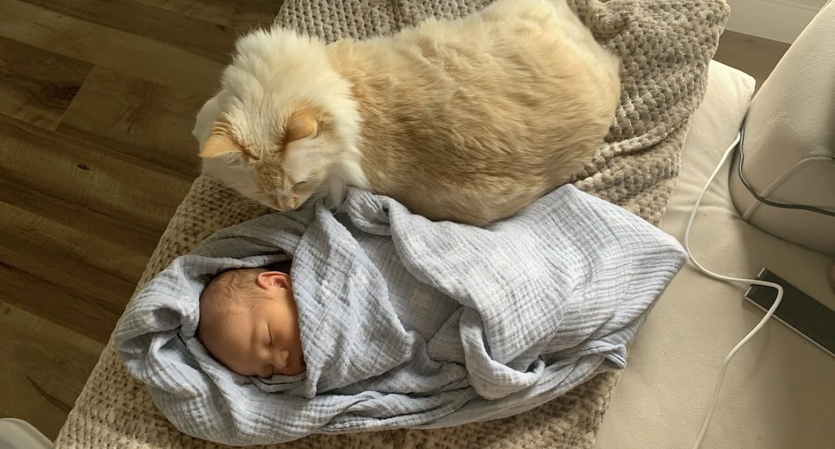 Blue with her baby sibling