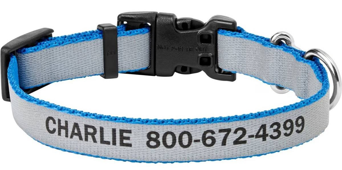 Frisco Polyester Personalized Reflective Dog Collar Cropped