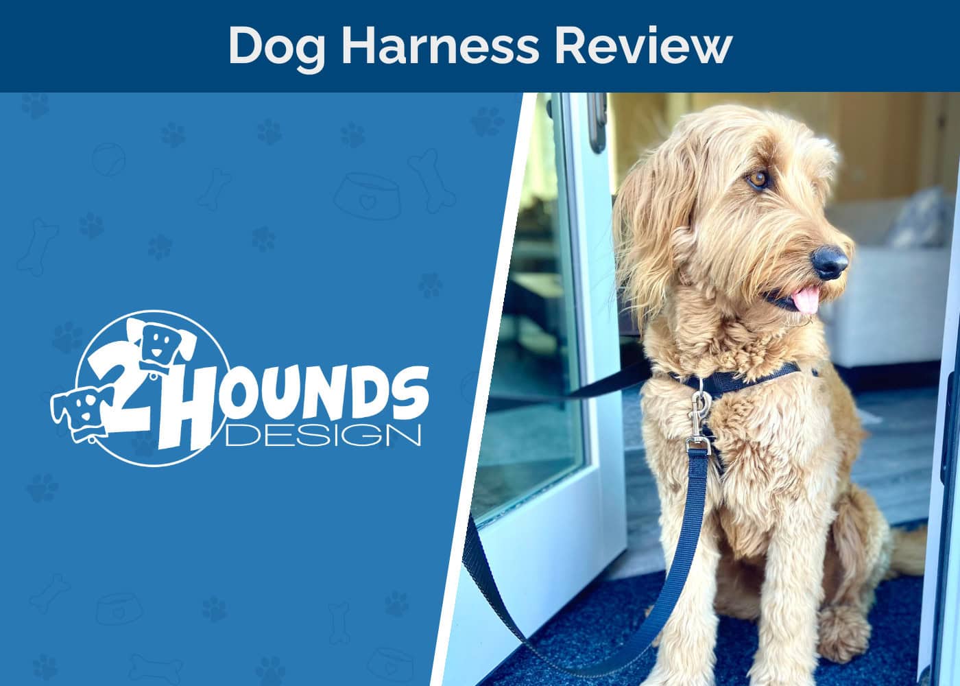 2 Hounds Design No-Pull Harness and Training Leash