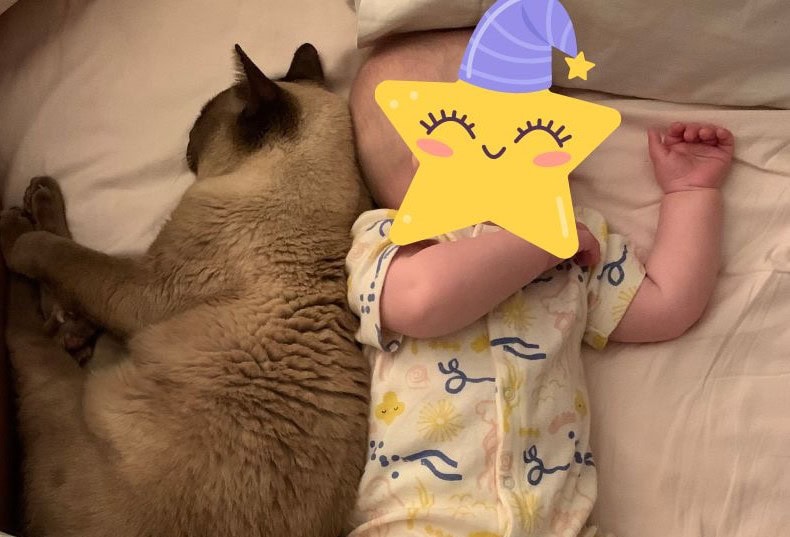 Having a little supervised snooze together.