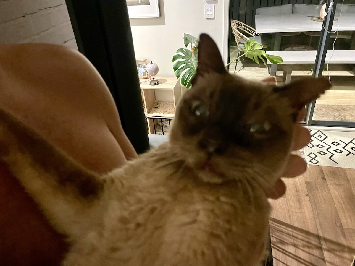 After his breathing returned to normal but his eyes were still big, a bit shocked I think.