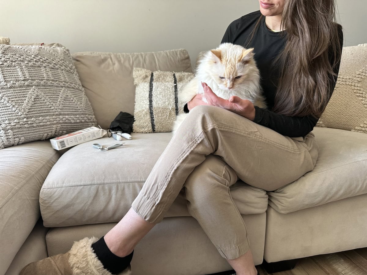 Blue eating treats after having her nails trimmed