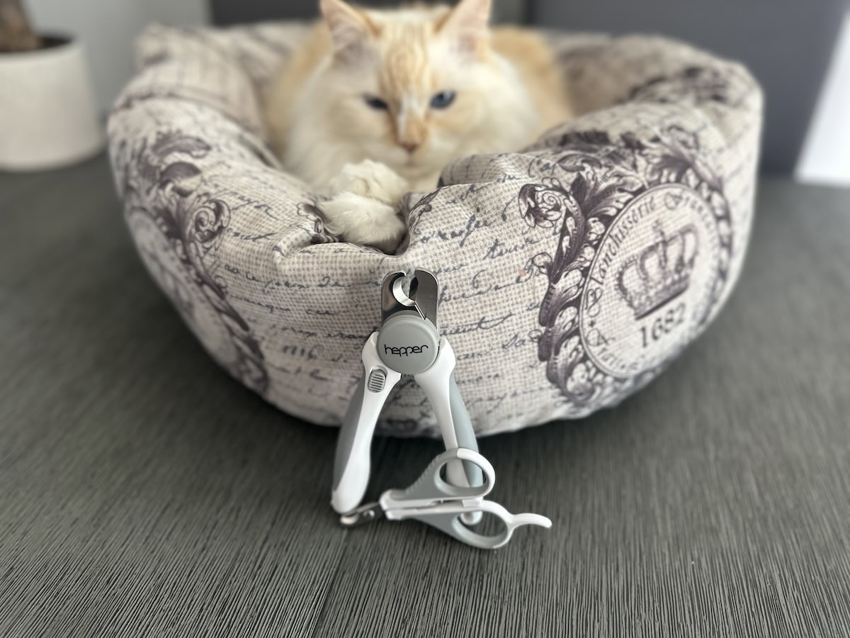 Blue in her bed with Hepper nail clippers