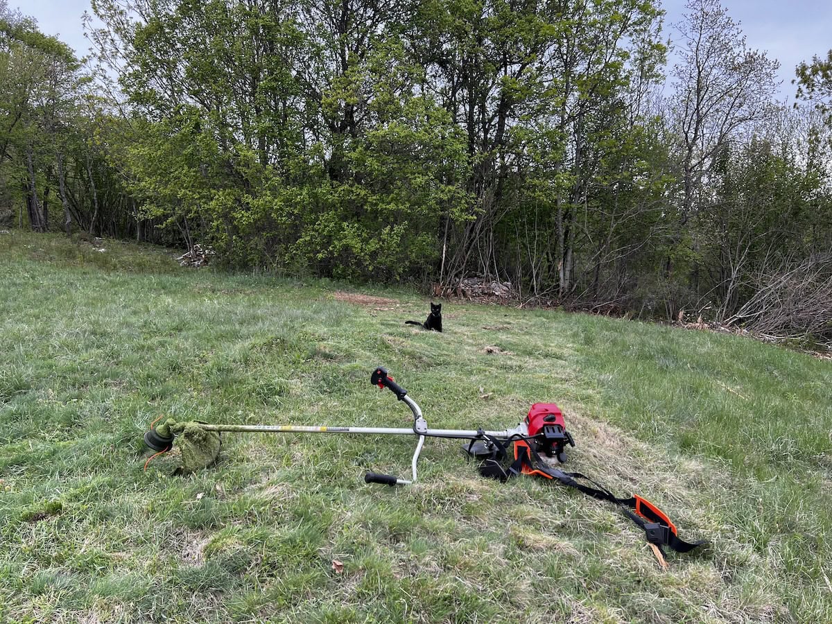 Miki assisting with the mowing