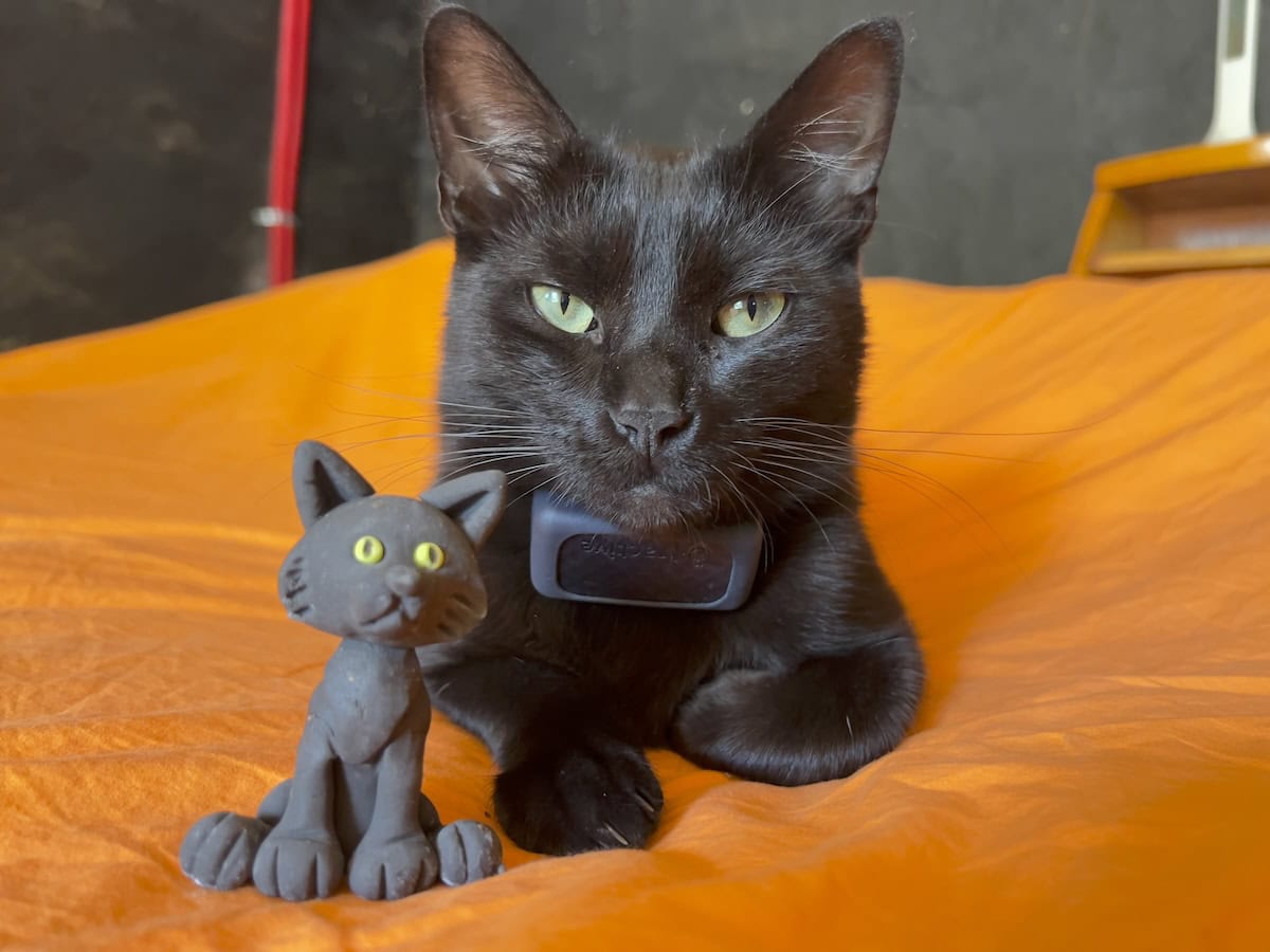 Miki with a small cat sculpture