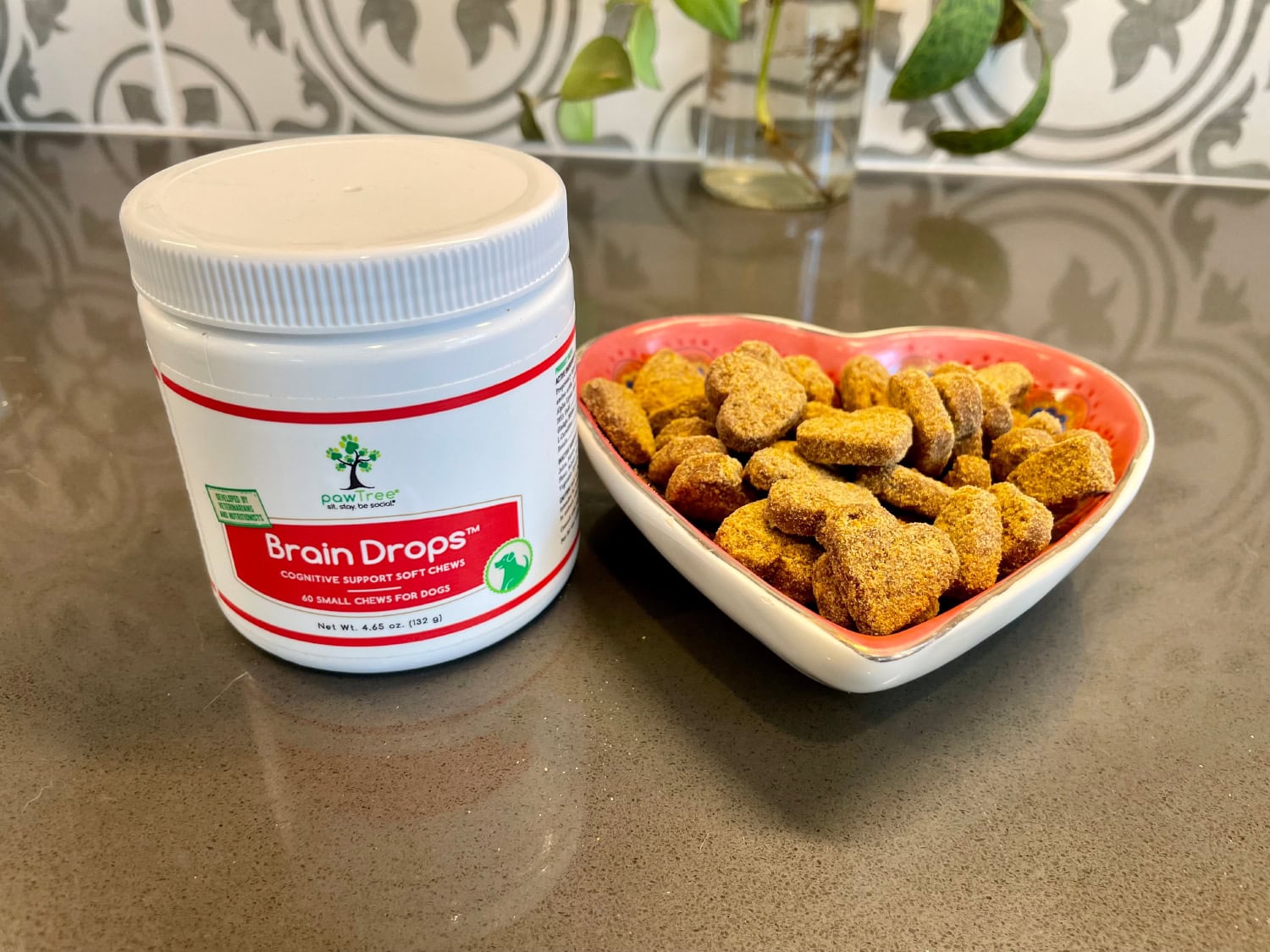 PawTree Pet Supplements - Brain Drops