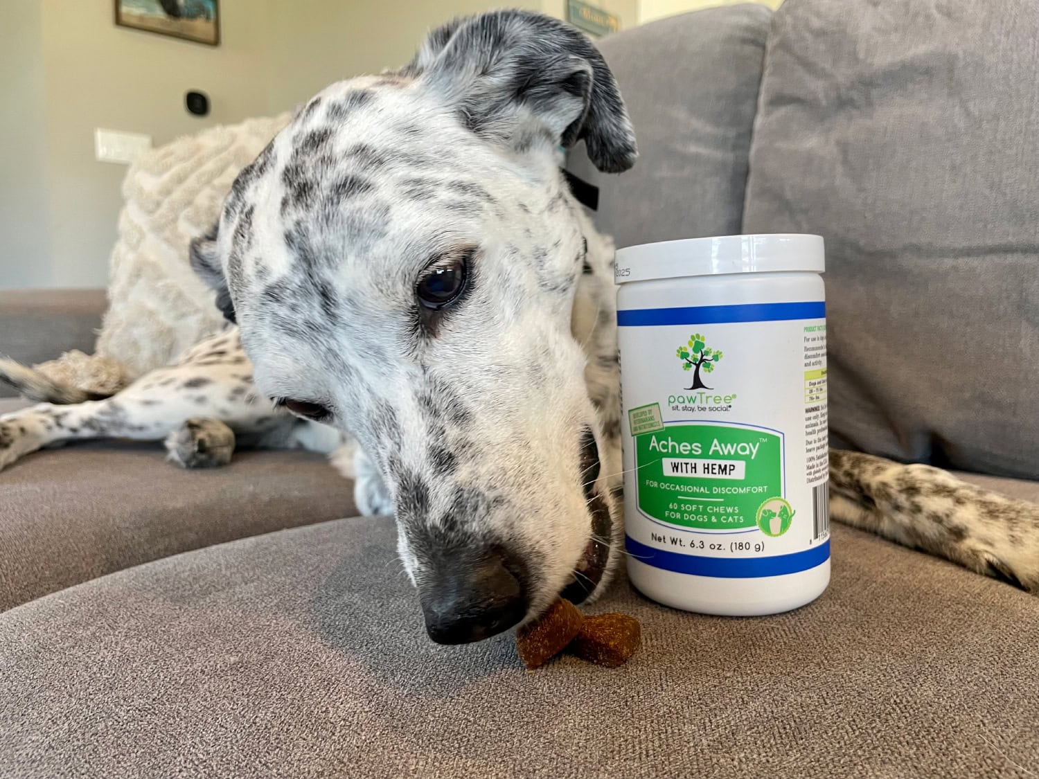 PawTree Pet Supplements - ragz eating aches away chew