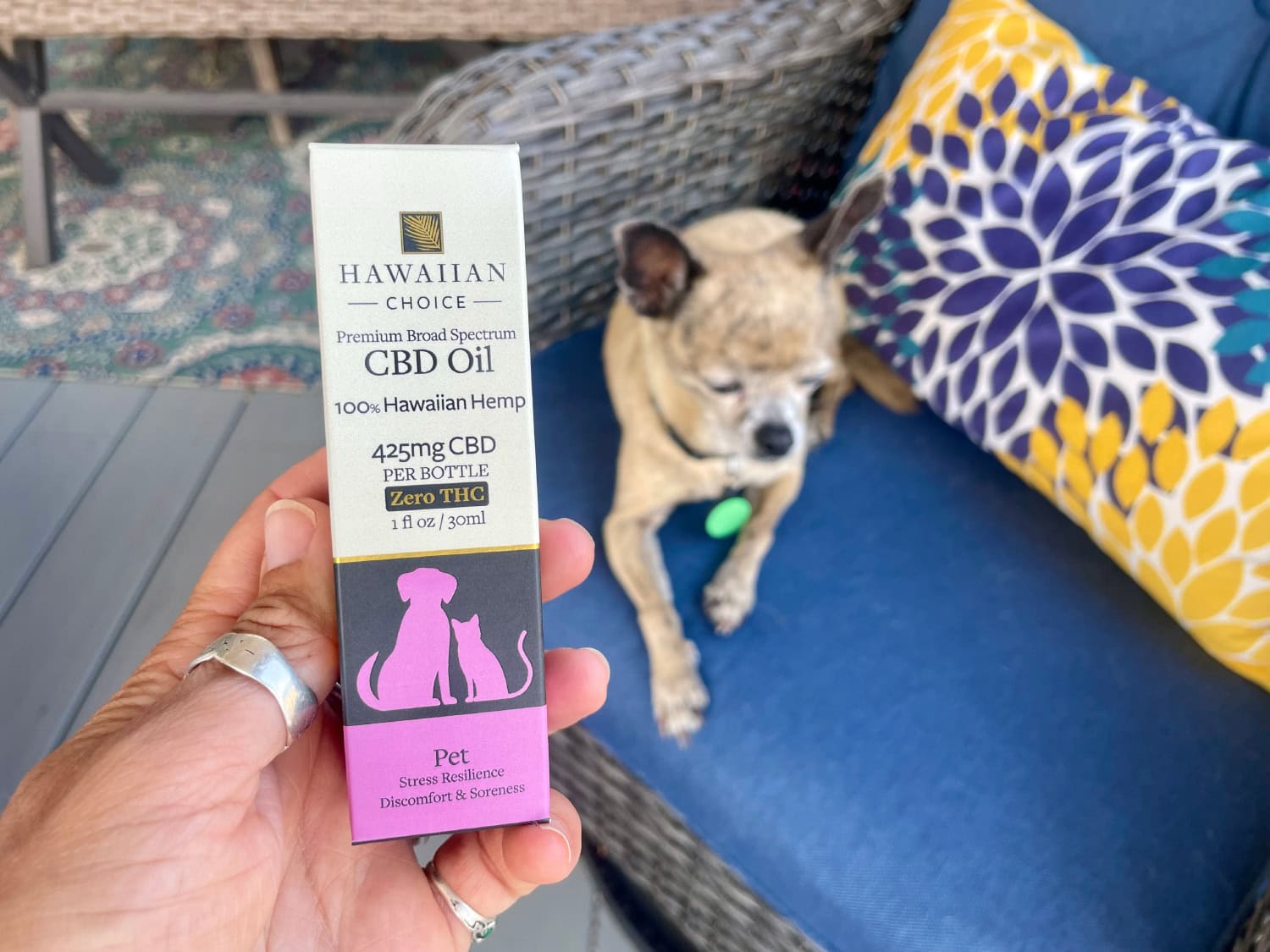 Rare Cannabinoid Company Pet CBD Oil - product box