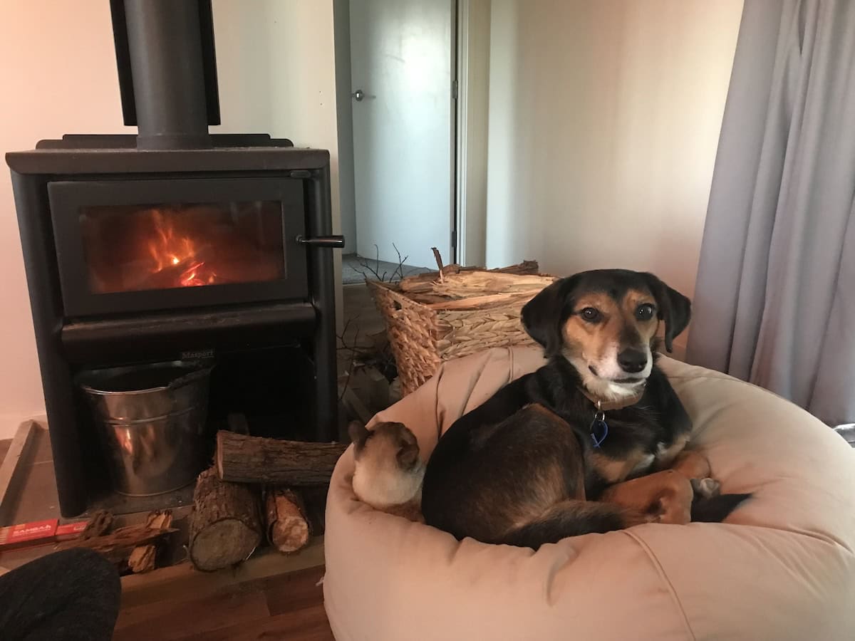 Rosa resting on top of Baby Cat and him just enjoying the heat.