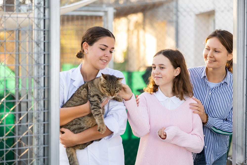 female volunteer showing a tabby cat to the girl and her mother