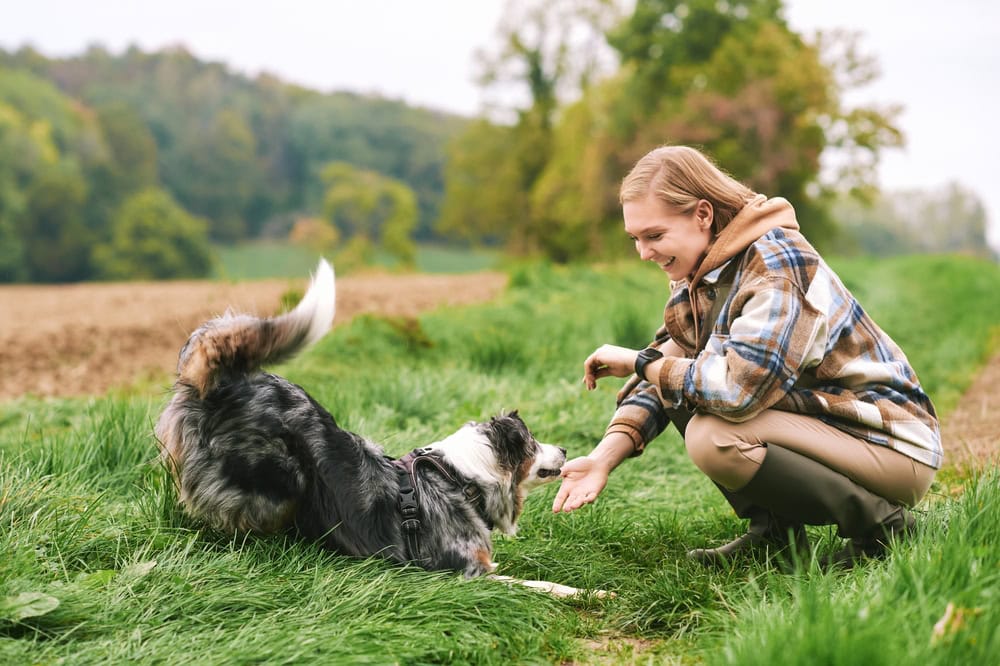 young woman playing with australian shepherd dog