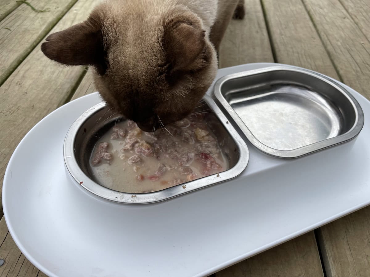 Added some water to make it more 'gravy-like'. Sorry, it looks pretty gross.