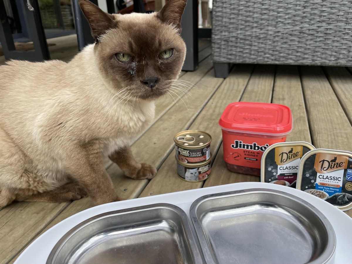 All the foods and flavors tried in a day.