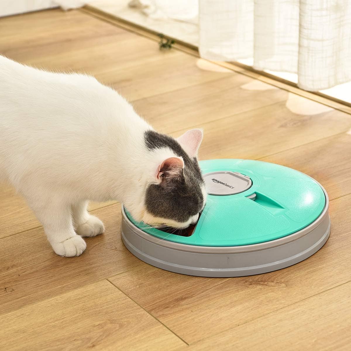 Amazon Basics - Automatic Electronic Timed Pet Feeder