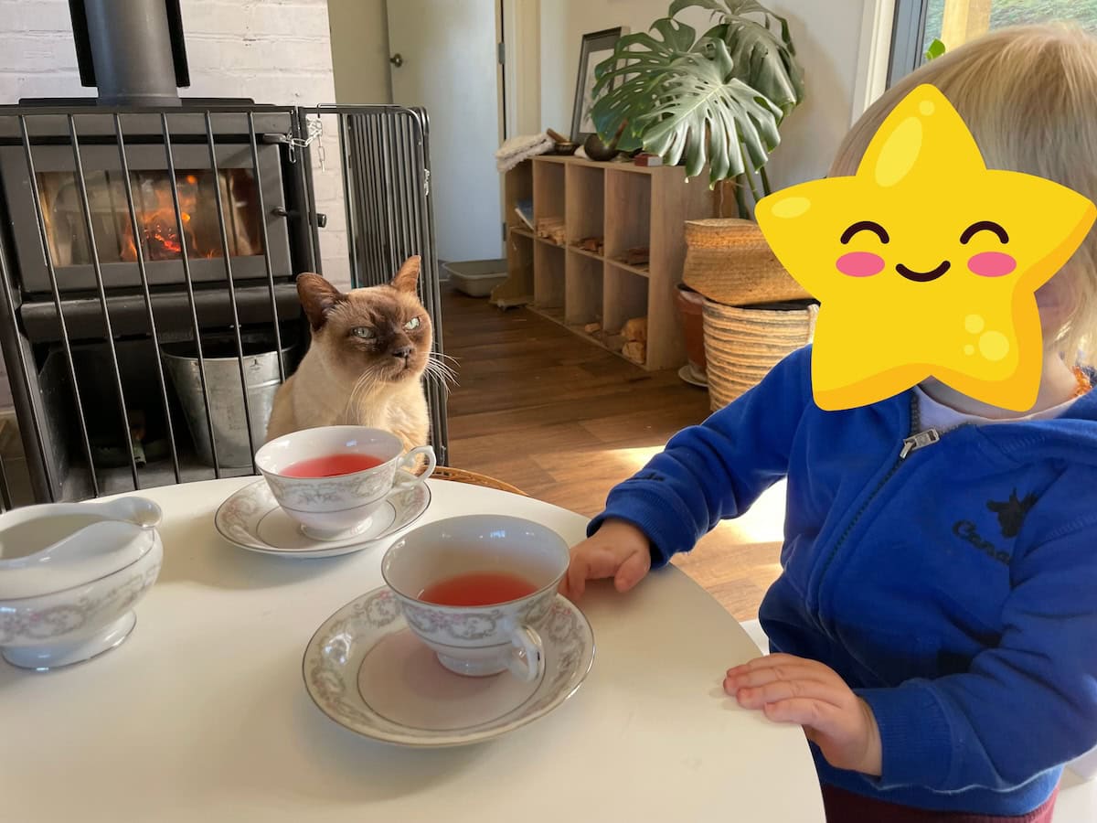 Baby Cat and toddler enjoying their tea