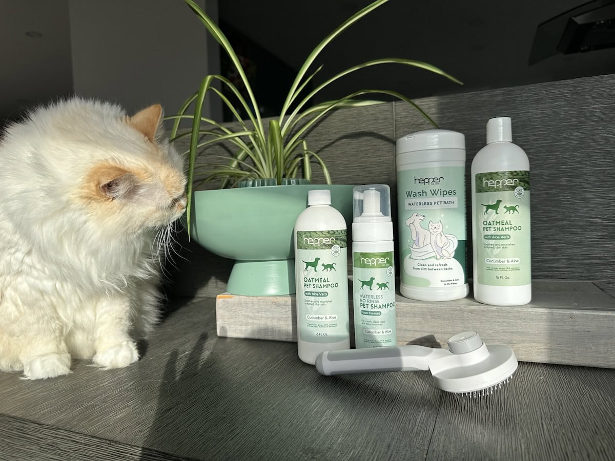 Blue testing Hepper's shampoos, wash wipes, and brush