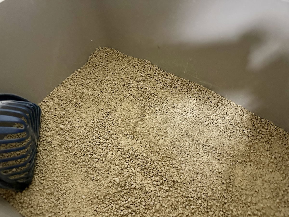 Blue's corn-based cat litter